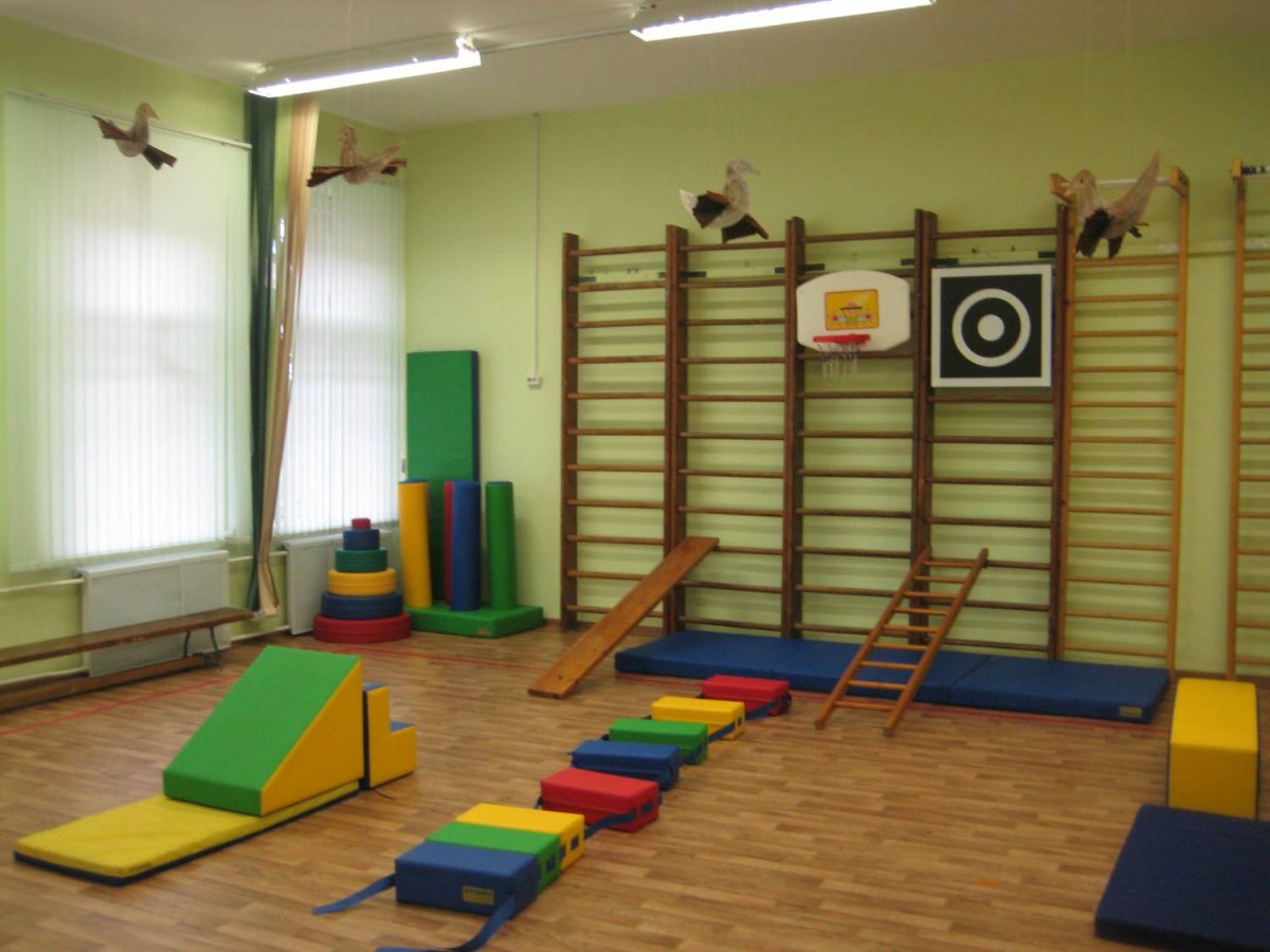 Оформление спортивного зала в детском саду фото