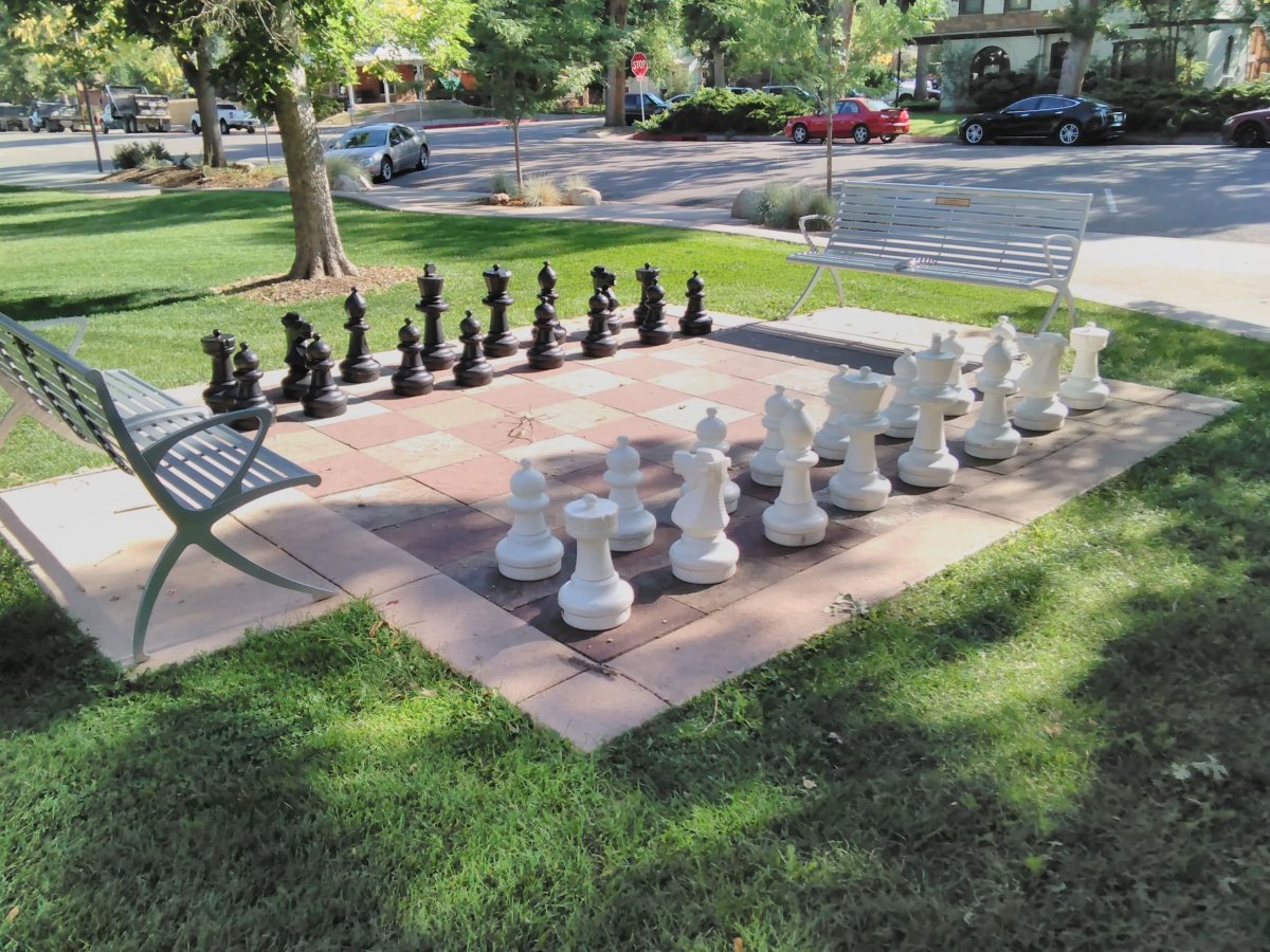 Уличные шахматы новая Голландия
