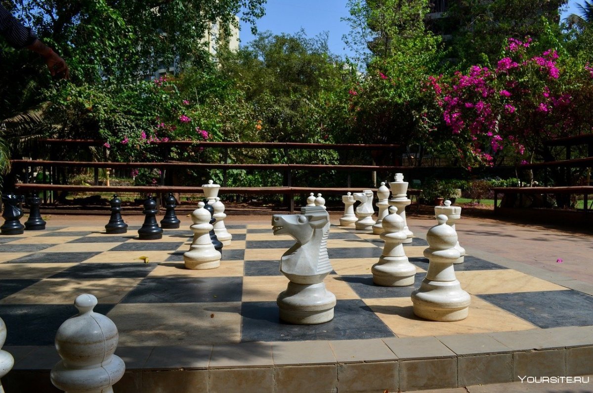 Шахматный пейзаж
