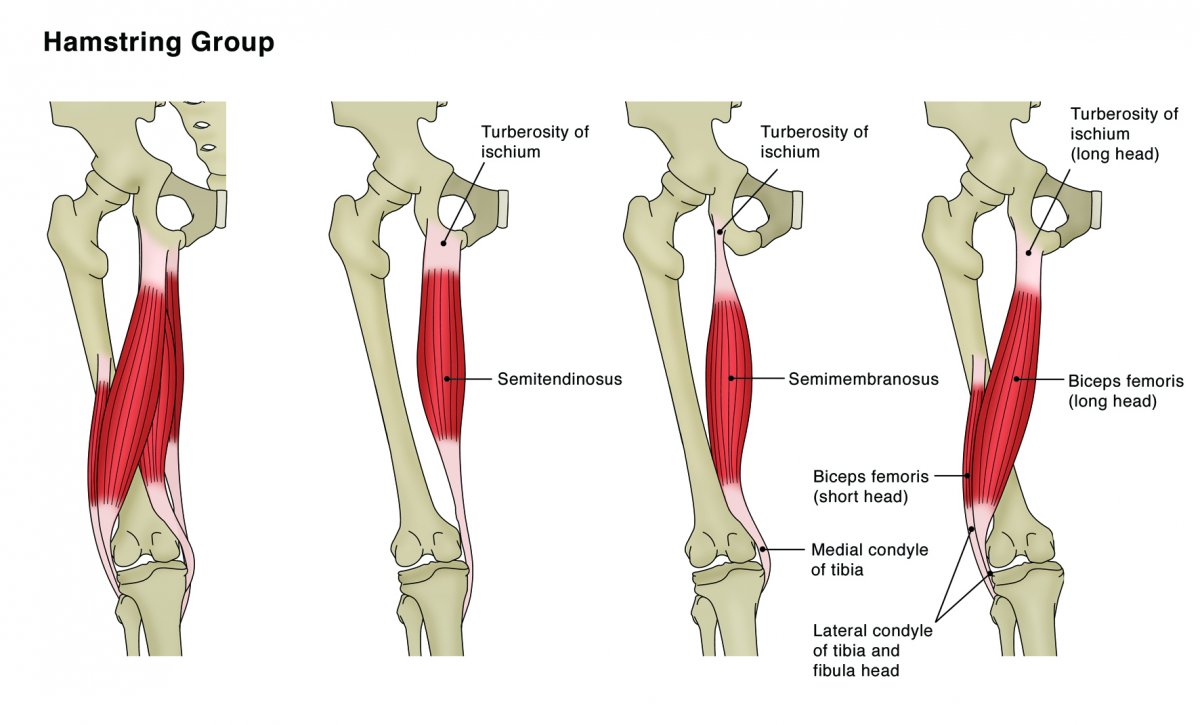 Хизер Амбруст мускулистые ноги