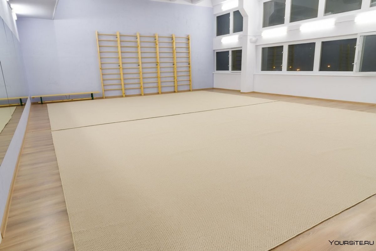 Гимнастический центр Химки