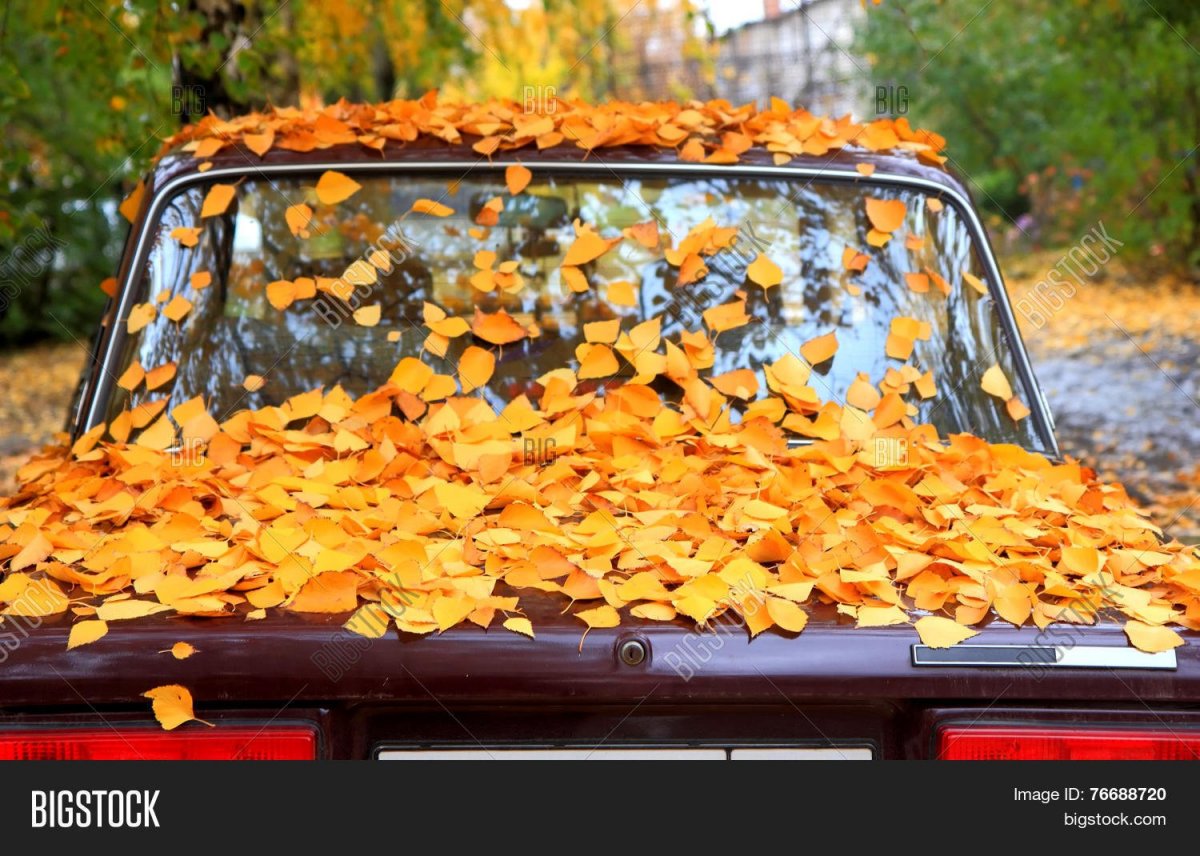 Автошкола осень