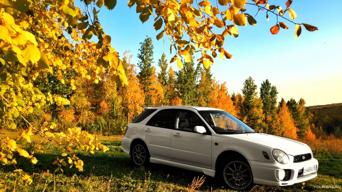 Классическое авто осень