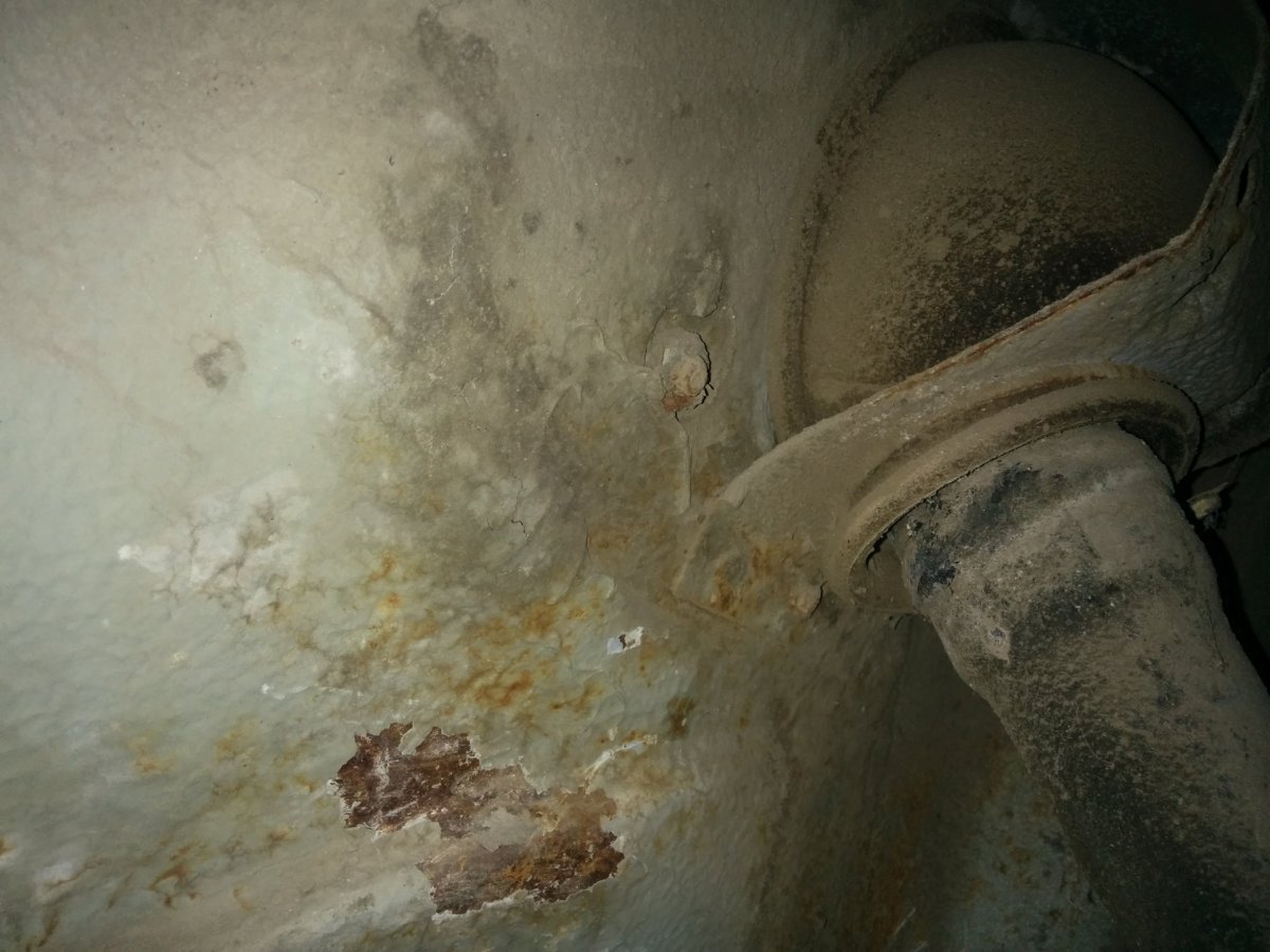 Ксения Кокорева Клименко модель