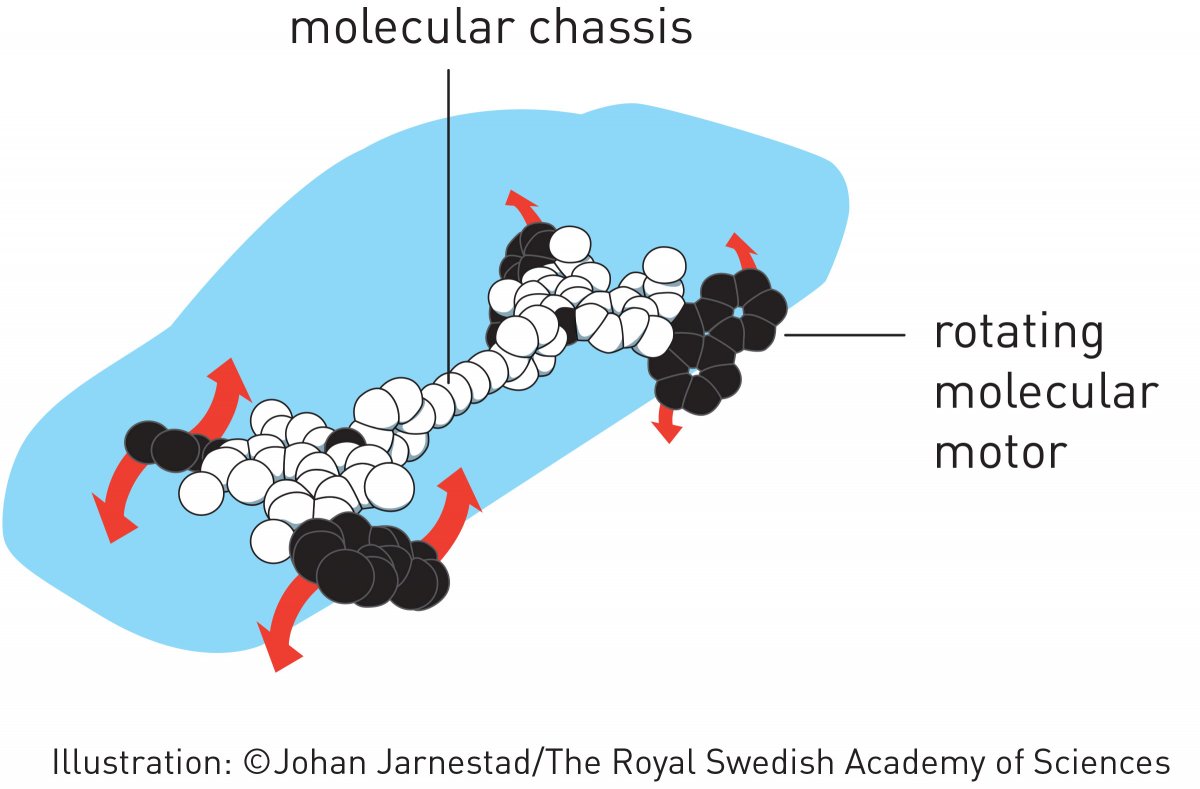 Молекулярные машины