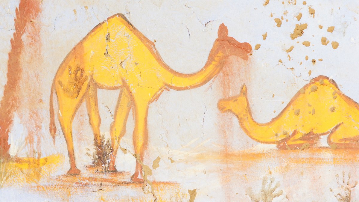 Верблюд в Египте рисунок