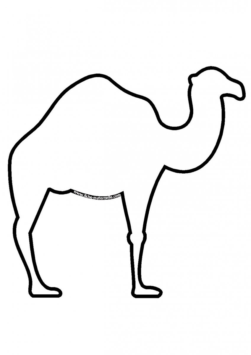Верблюд рисовка