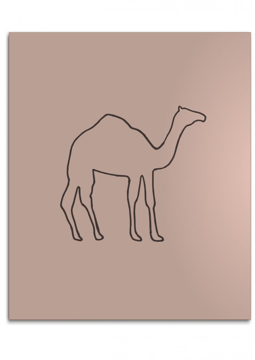 Раскраски антистресс верблюд