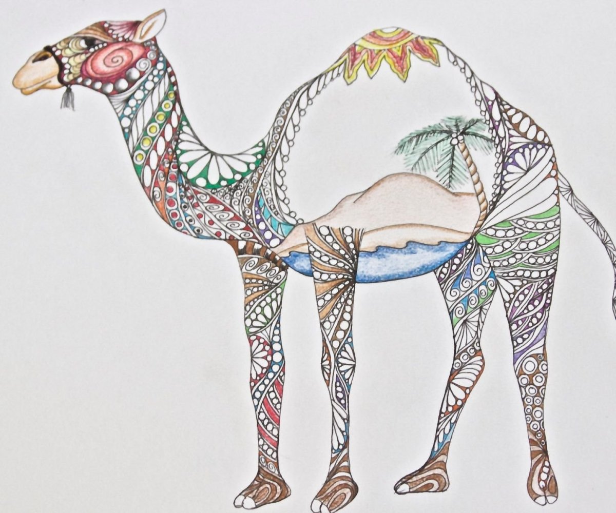 Верблюд рисование для детей