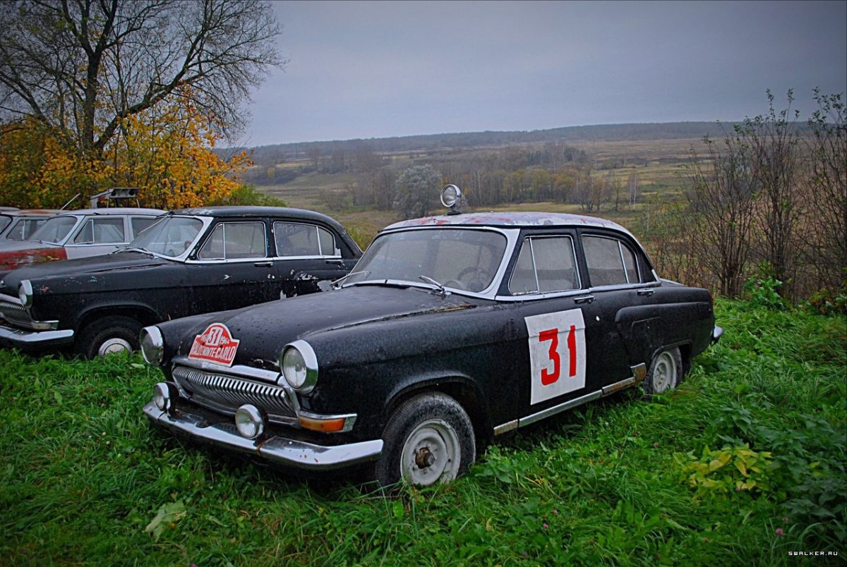 Фото женщин и Форд