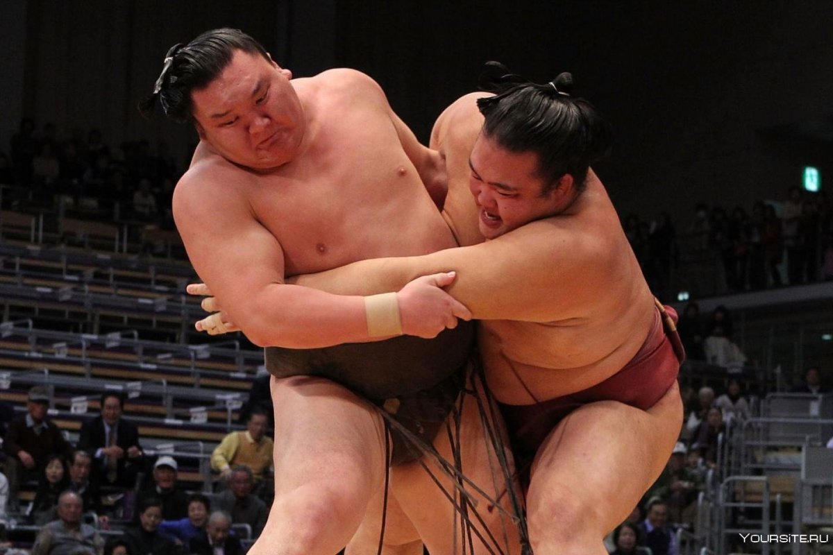 В борьбе сумо самый тяжелый борец