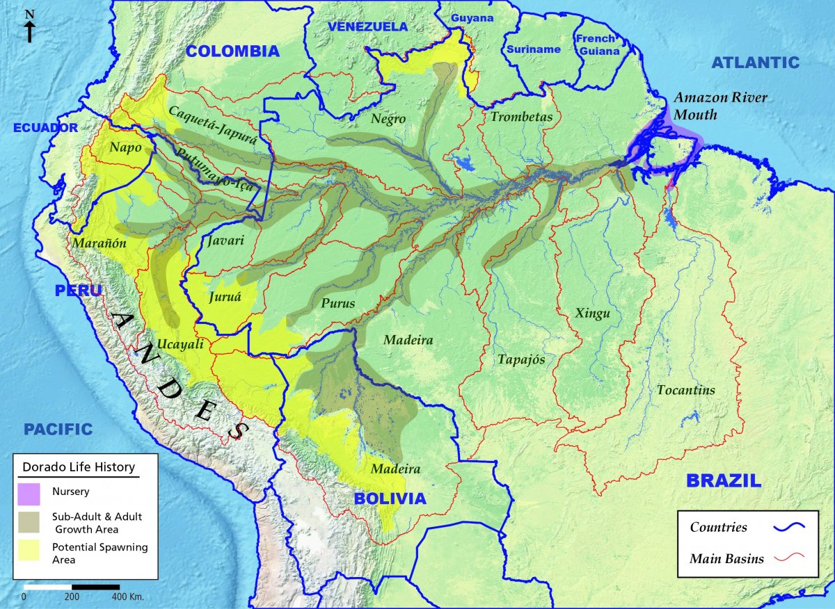 Река Амазонка на карте
