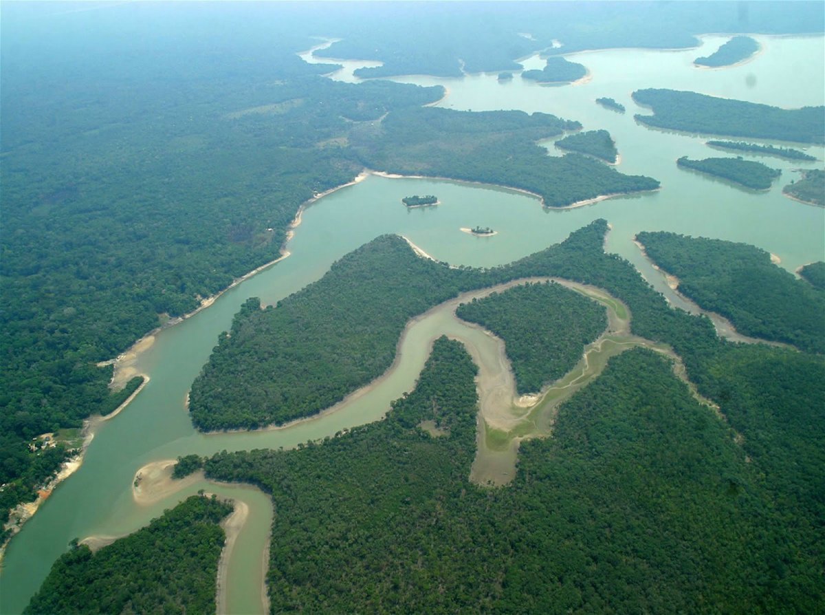 Пойма реки амазонки