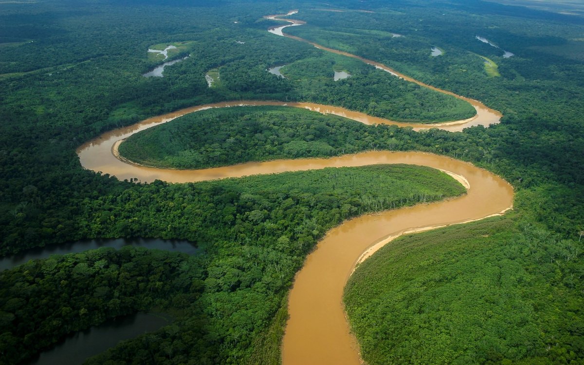 Притоки амазонки на карте
