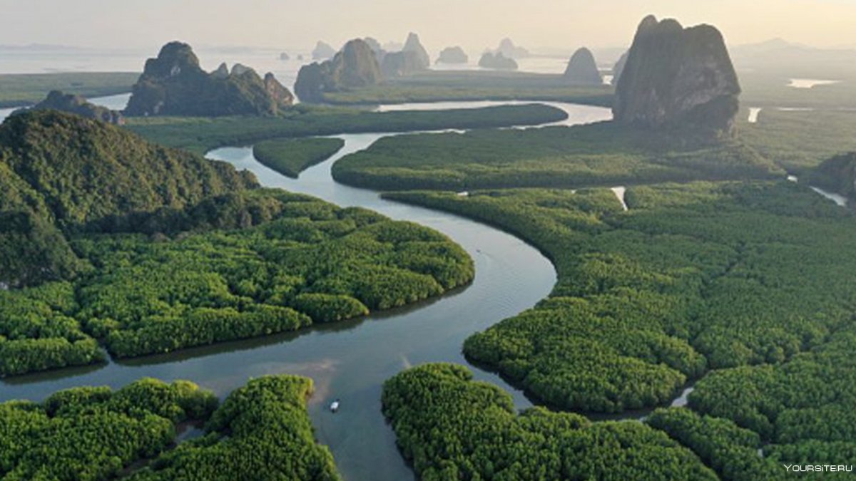 Устье реки Амазонка на карте