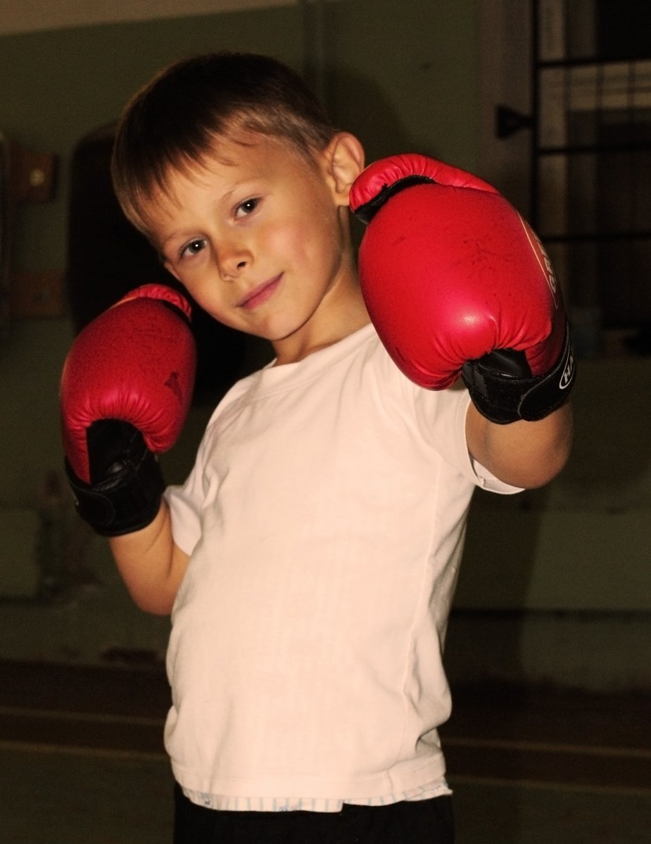 Молодые боксеры