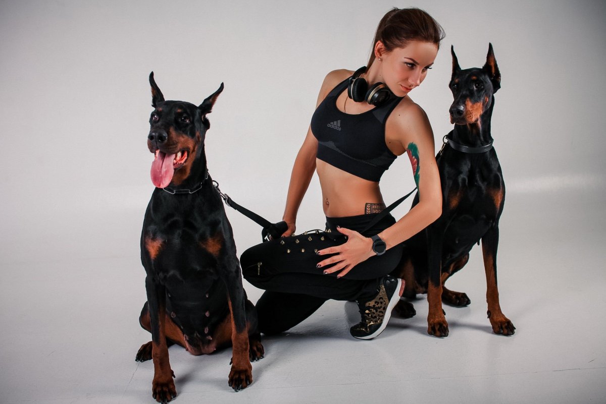 Михаил Джимов Доберман