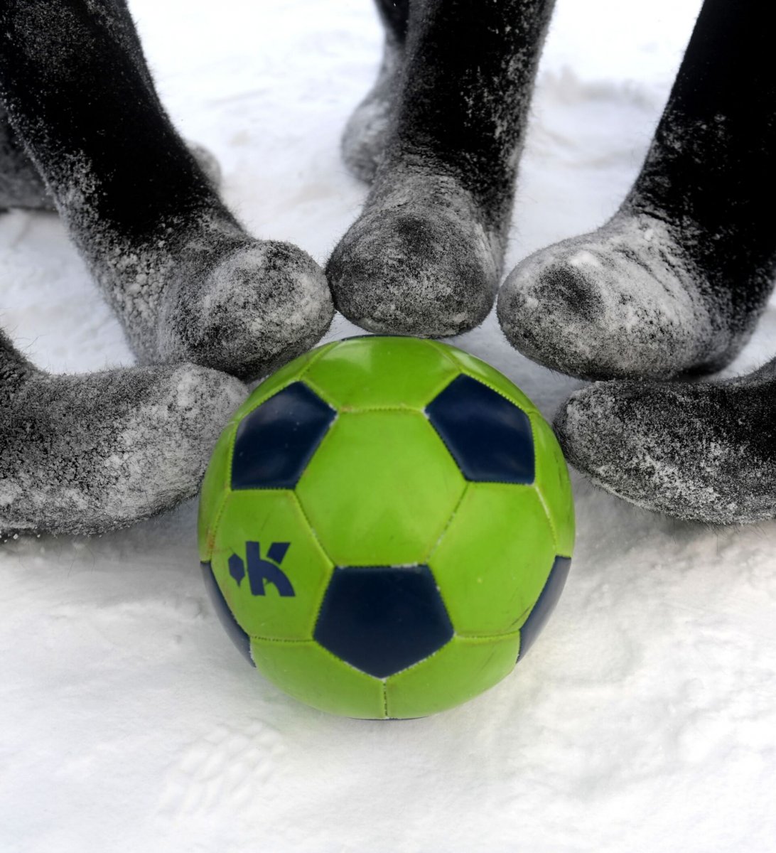 Мини футбол на снегу