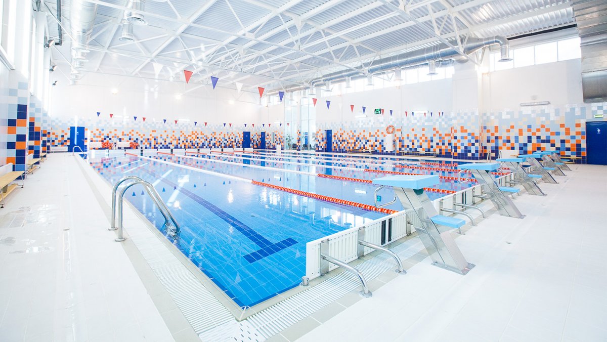 Софийская 40 бассейн Олимп