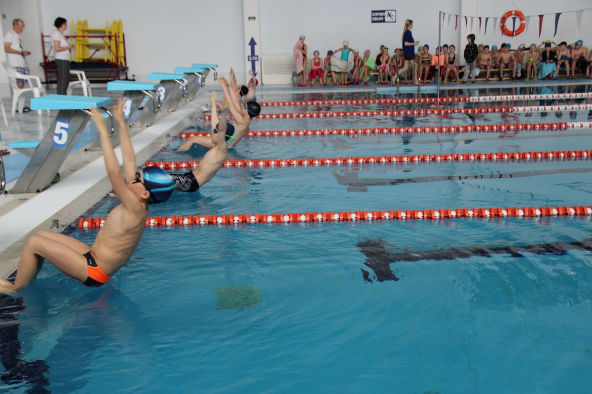 Одинцовский бассейн