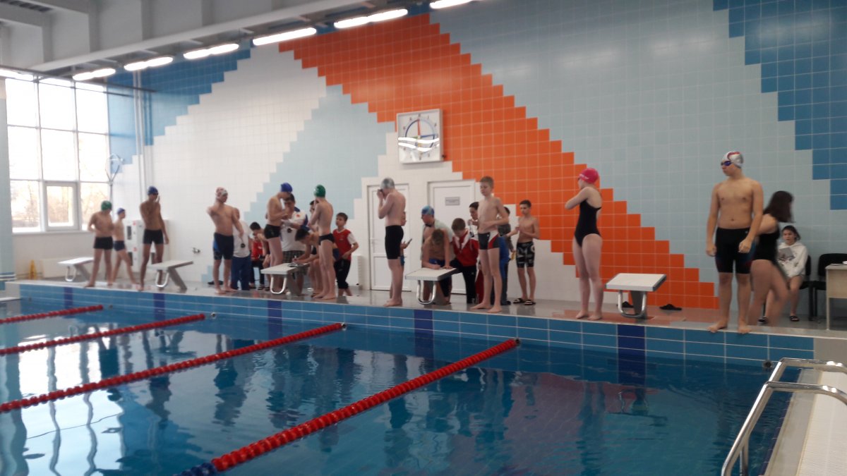 Бассейн в Лыткарино Арена фото