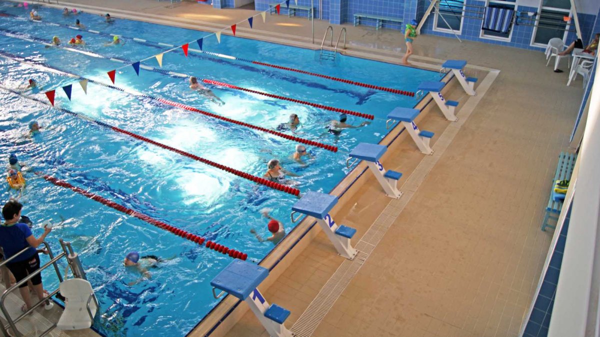 Софийская 40 бассейн Олимп