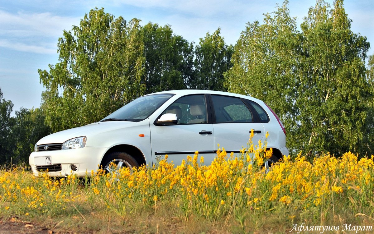 Lada Kalina New