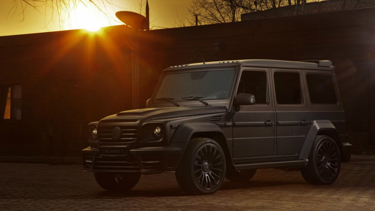 Mercedes-Benz g-class g 65 AMG