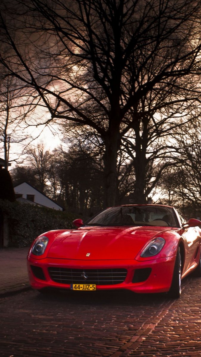 Ferrari 599x