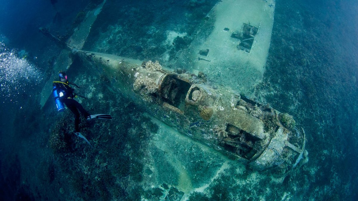 Автовоз MV Golden ray