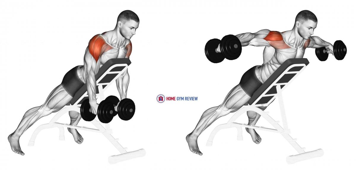 Dumbbell Rear lateral raise