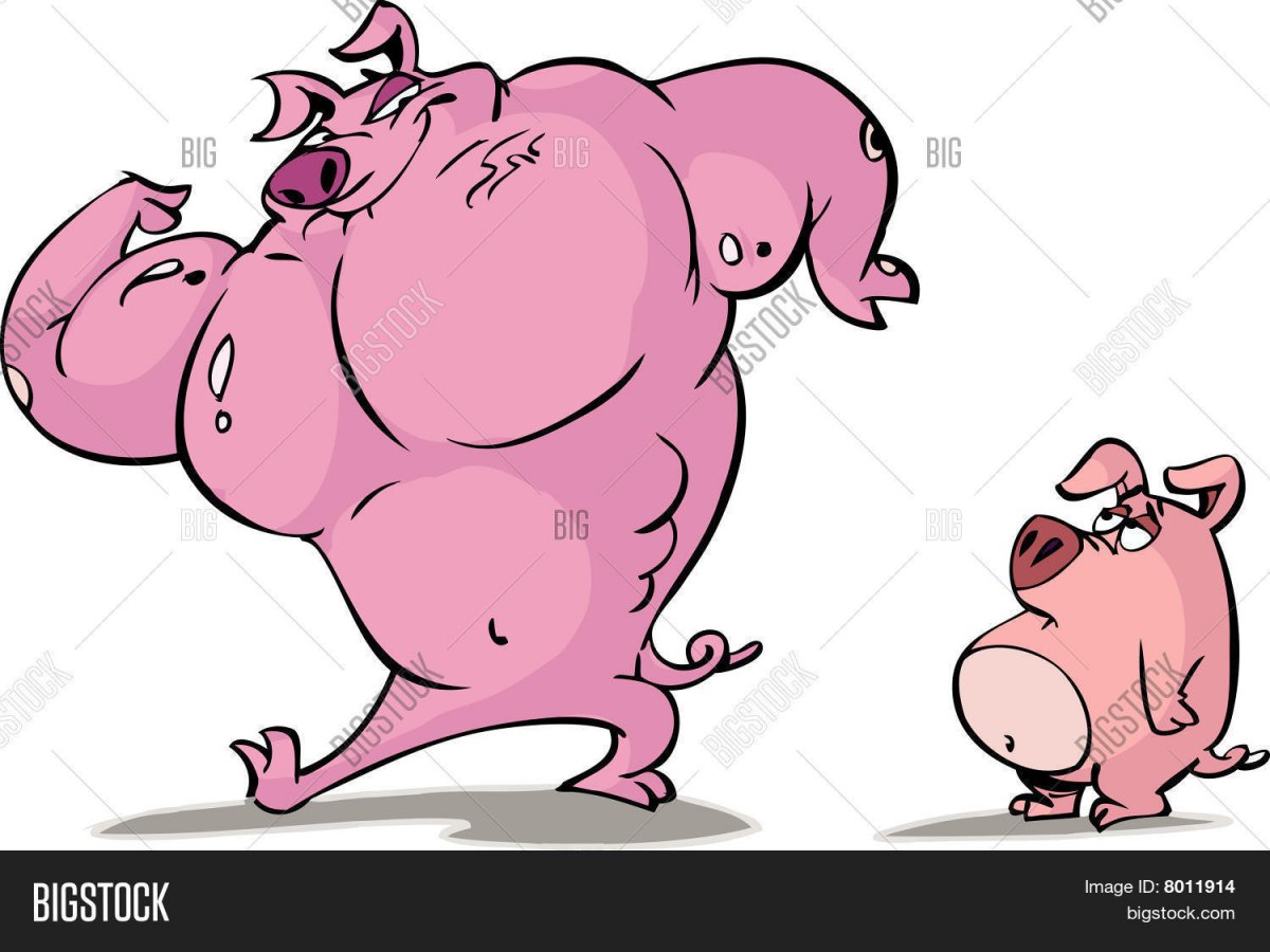 Свинья с гантелей