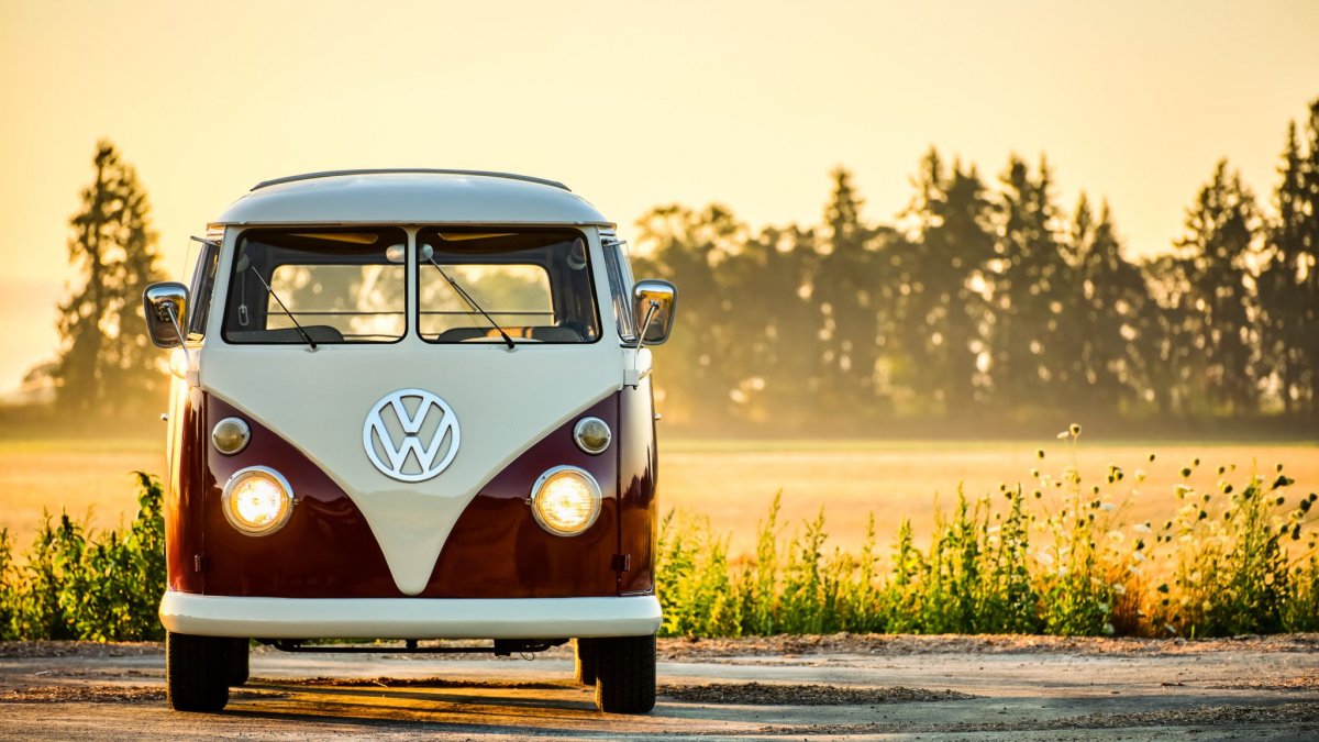 1979 Volkswagen Hippie van заброшенный