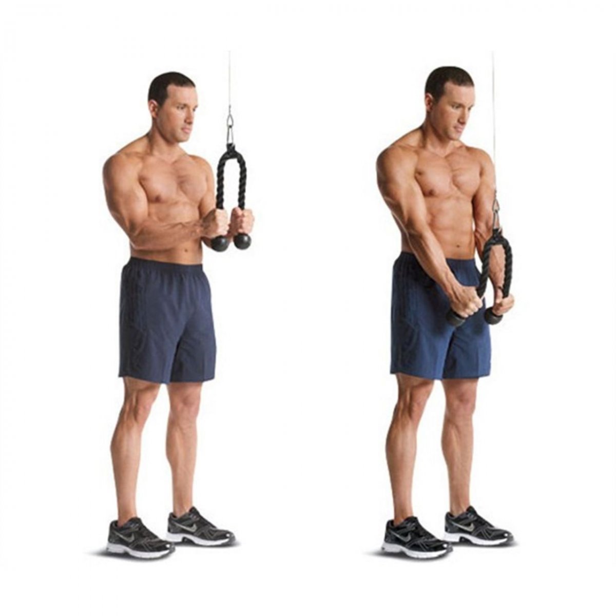 Cable Rope Tricep Extension