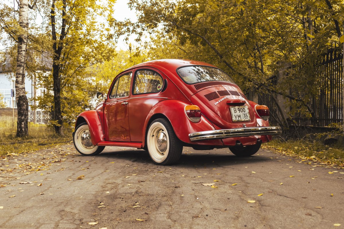VW Kafer all Generations
