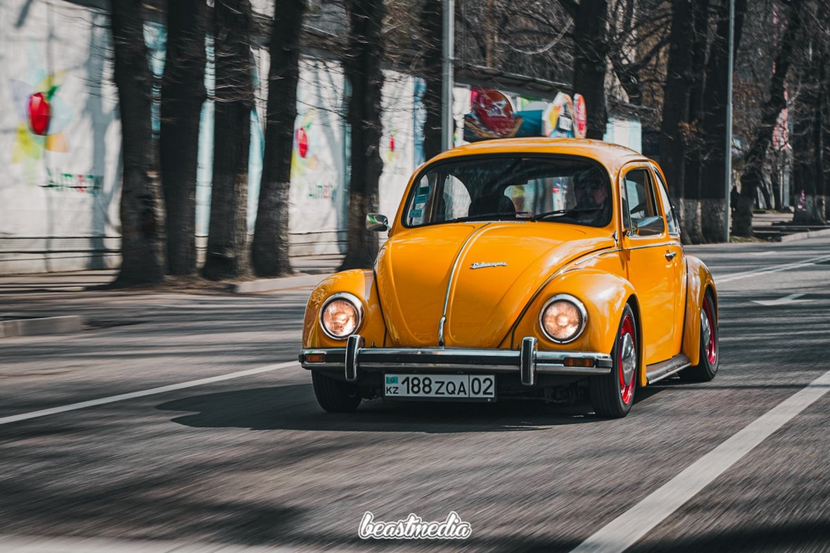 BMW VW Kafer