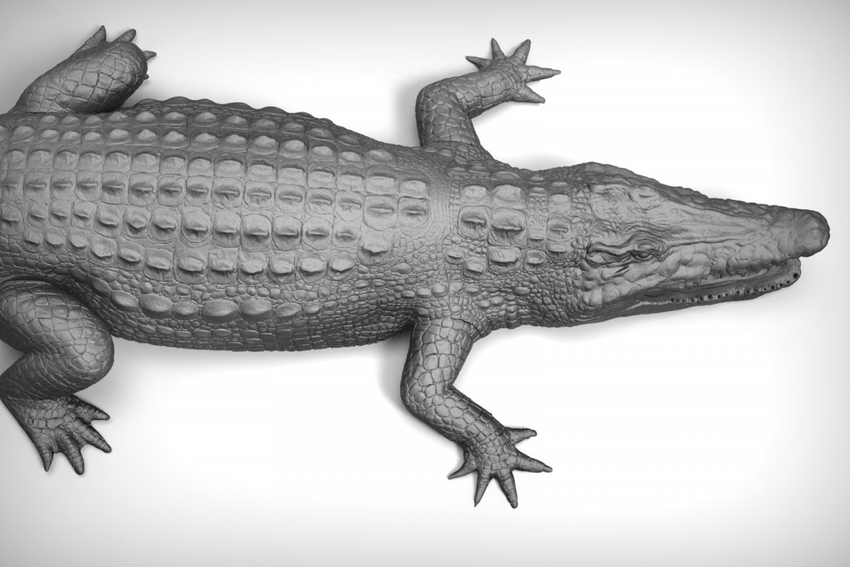 Картинка машинка крокодил