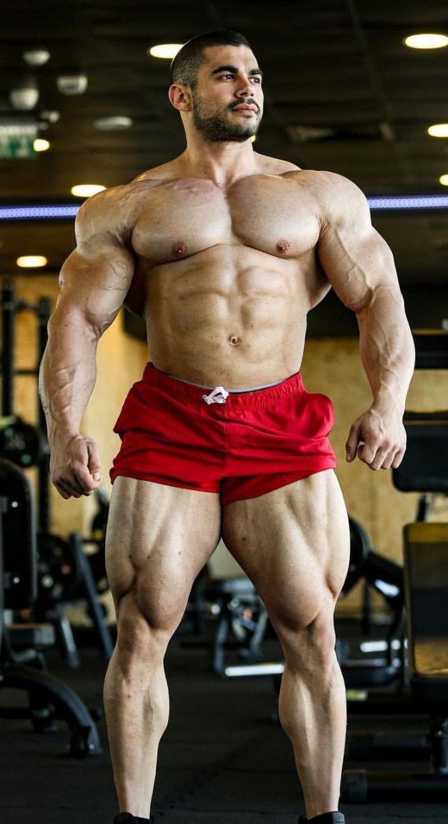 Арсен велемел muscle