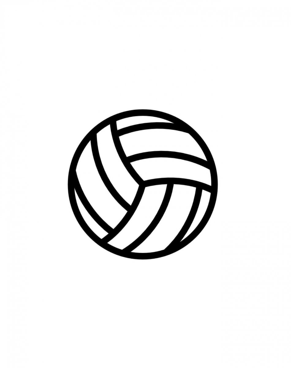 Волейбольный мяч черно белый