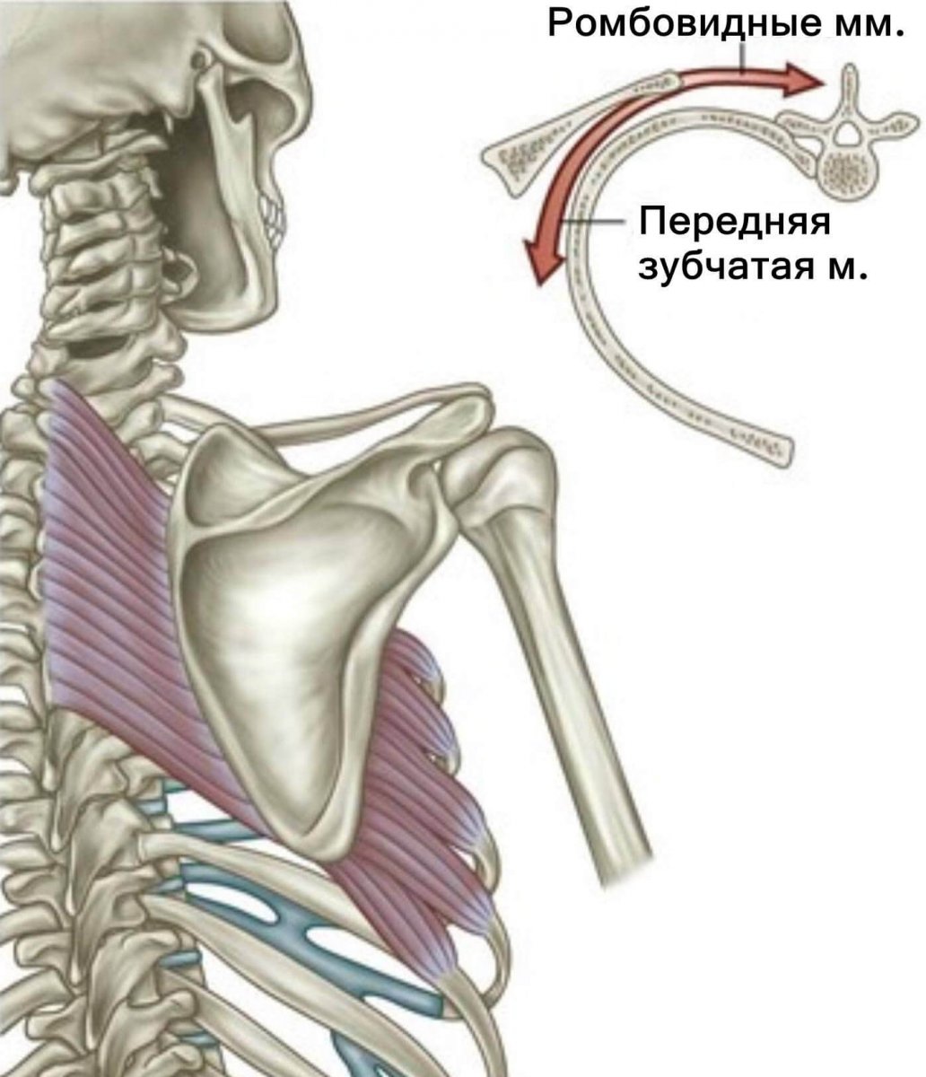 Шейно воротниковая зона массаж