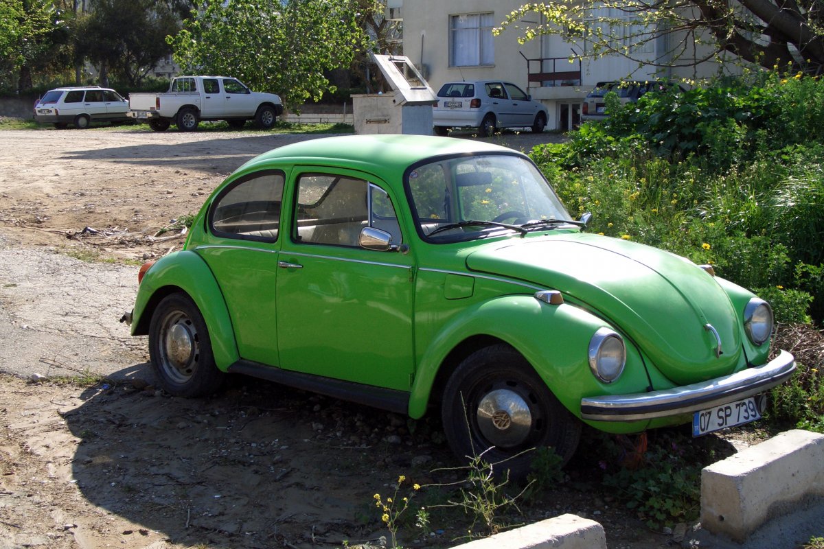 Volkswagen New Beetle Арлекин
