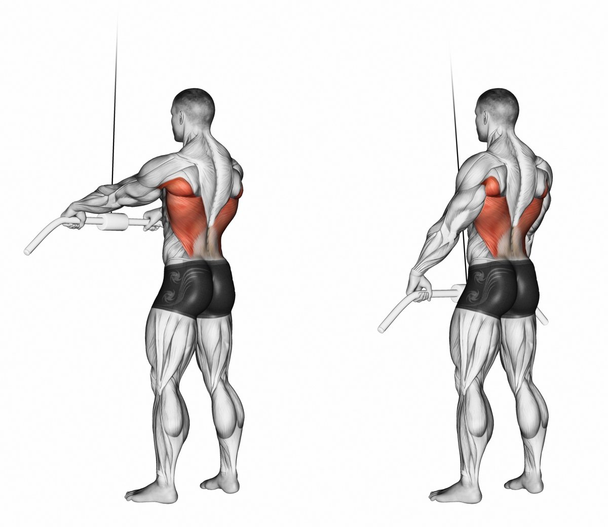 Lat Pulldown трицепс