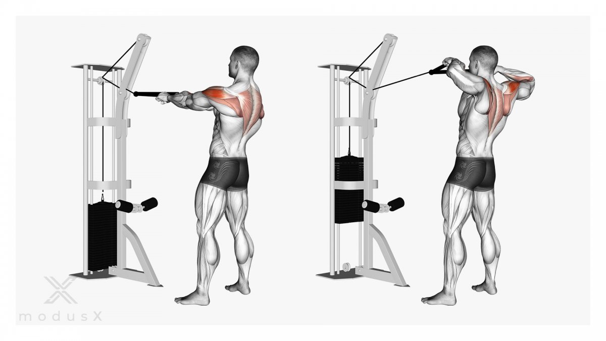 Reverse Grip Pulldown