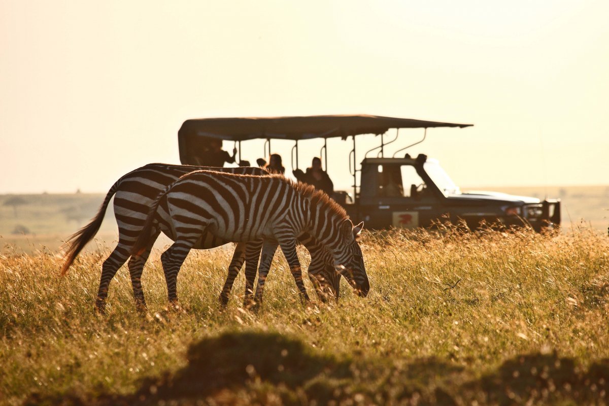 Танзания сафари тур