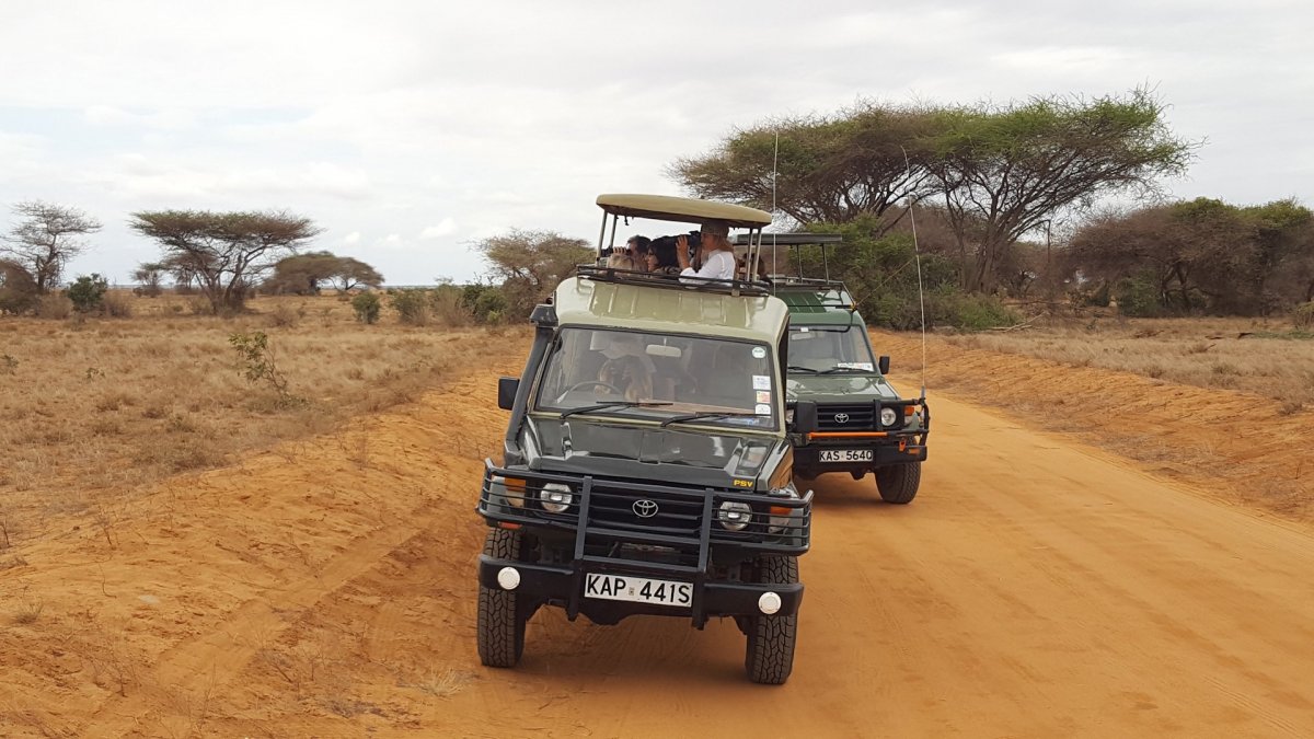 Kenya Safari Land Cruiser