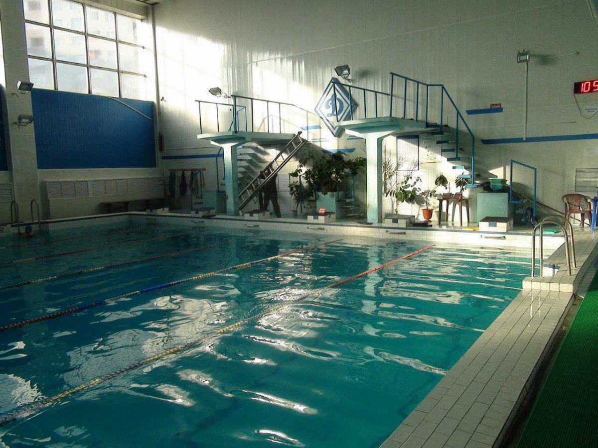 Дворец спорта плаванье