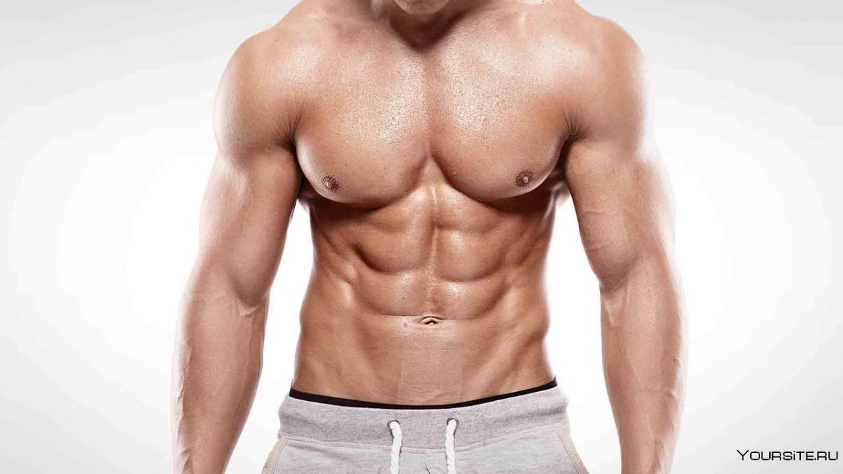 Косые мышцы живота фото у мужчин