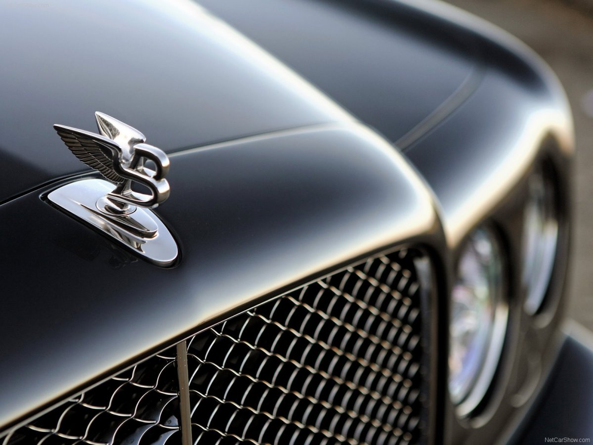 Логотип автомобиля корона