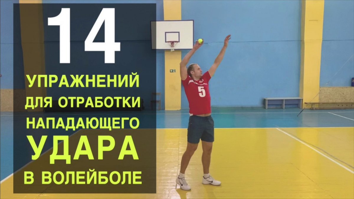 Кольцо для передачи волейбол тренажер