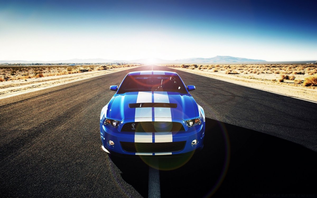Ford Shelby gt500 2010